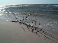 Resize of DSCF2552.JPG